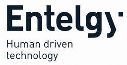 Entelgy logo